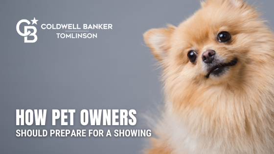 Pet Owners Boise